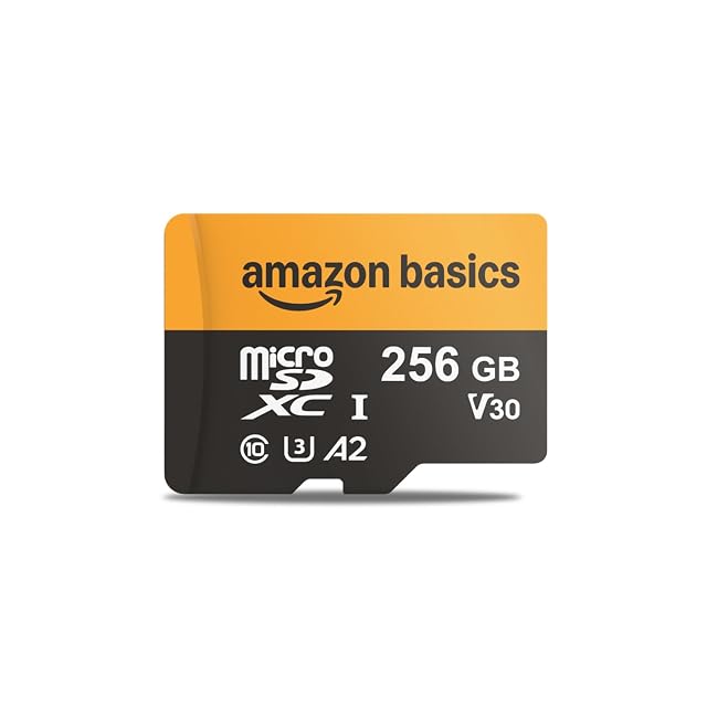 Scheda microSDXC da 256 GB Amazon Basics