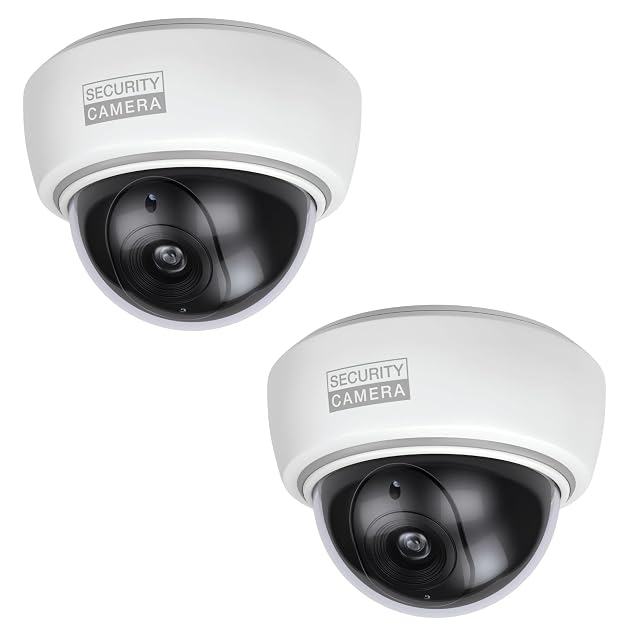 Confezione da due telecamere finte dome BASI